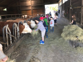 Besuch auf dem Erlebnisbauernhof
