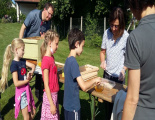 Bienen 2b