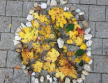 Herbst3