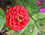 IMG 4703 (640x427)