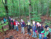 Gemeinschaft im Wald