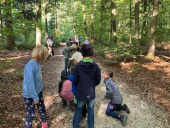 Wald