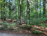Walderlebniszentrum2 26