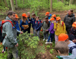 Waldjugendspiele4 22 23