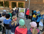 Waldtag2 24